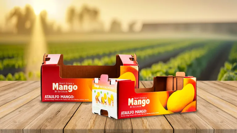 mango